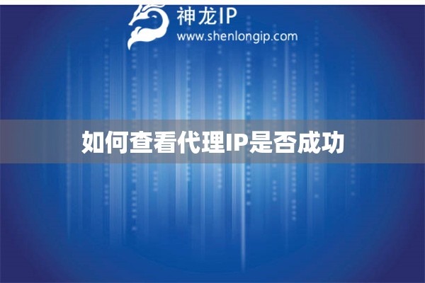 如何查看代理IP是否成功
