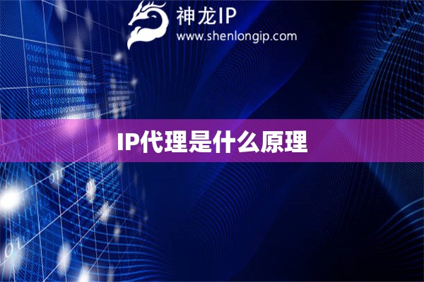 IP代理是什么原理
