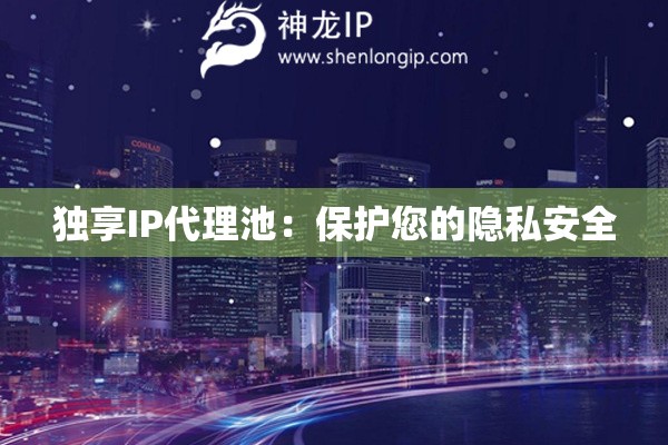 獨(dú)享IP代理池：保護(hù)您的隱私安全