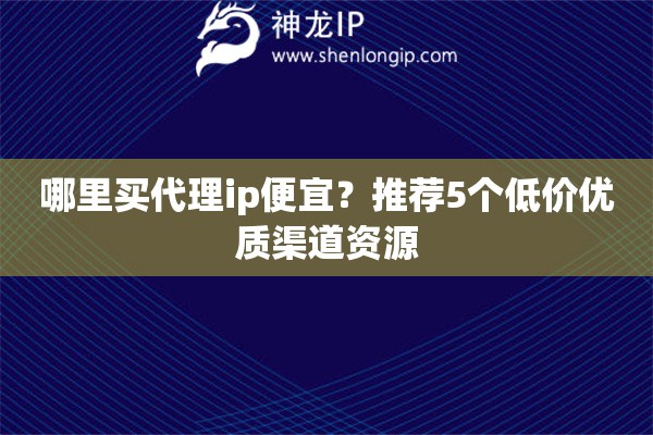 哪里買代理ip便宜？推薦5個低價優(yōu)質(zhì)渠道資源