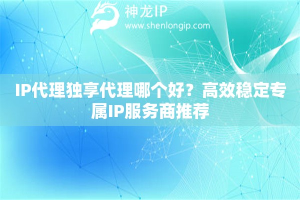 IP代理獨(dú)享代理哪個(gè)好？高效穩(wěn)定專屬IP服務(wù)商推薦