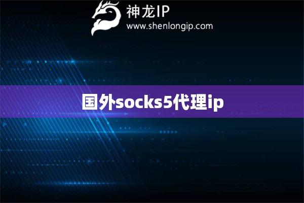 國外socks5代理ip