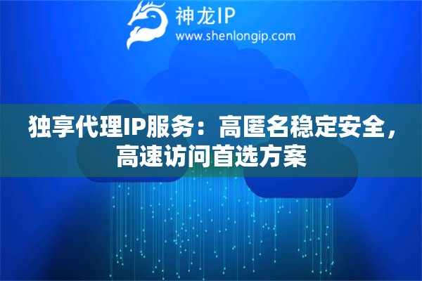 獨(dú)享代理IP服務(wù)：高匿名穩(wěn)定安全，高速訪問(wèn)首選方案