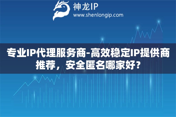 專業(yè)IP代理服務(wù)商-高效穩(wěn)定IP提供商推薦，安全匿名哪家好？