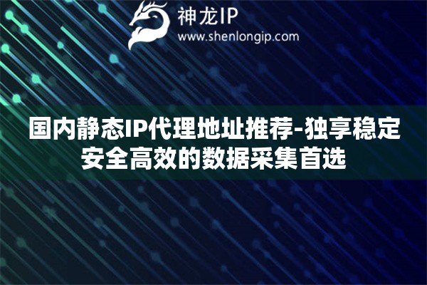 國內(nèi)靜態(tài)IP代理地址推薦-獨(dú)享穩(wěn)定安全高效的數(shù)據(jù)采集首選
