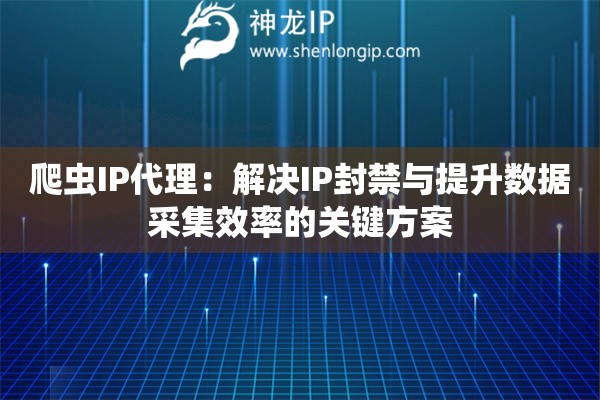 爬蟲IP代理：解決IP封禁與提升數(shù)據(jù)采集效率的關(guān)鍵方案