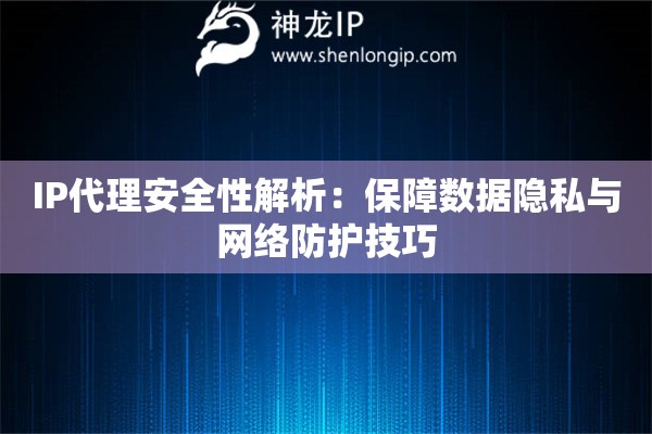 IP代理安全性解析：保障數(shù)據(jù)隱私與網(wǎng)絡(luò)防護(hù)技巧