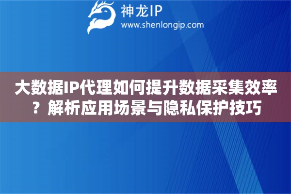 大數(shù)據(jù)IP代理如何提升數(shù)據(jù)采集效率？解析應(yīng)用場景與隱私保護(hù)技巧