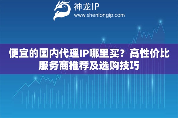 便宜的國內(nèi)代理IP哪里買？高性價(jià)比服務(wù)商推薦及選購技巧