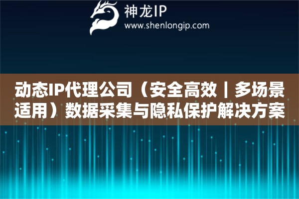 動態(tài)IP代理公司（安全高效｜多場景適用）數(shù)據(jù)采集與隱私保護解決方案