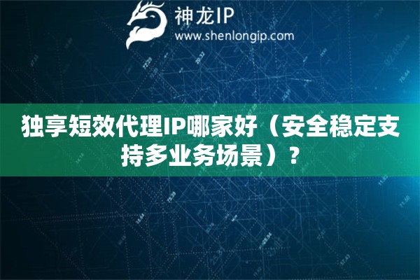 獨享短效代理IP哪家好（安全穩(wěn)定支持多業(yè)務場景）？