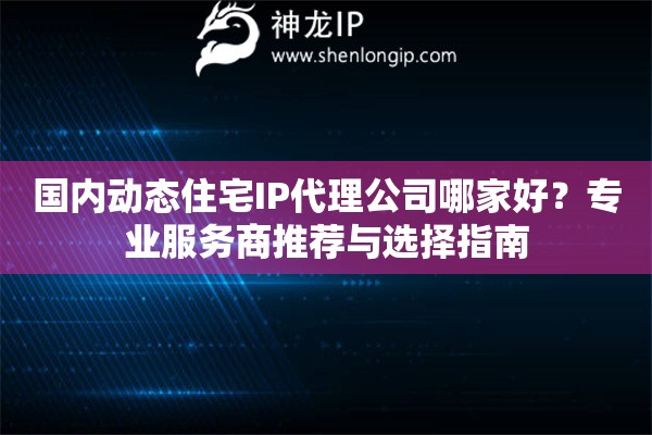國內(nèi)動態(tài)住宅IP代理公司哪家好？專業(yè)服務(wù)商推薦與選擇指南