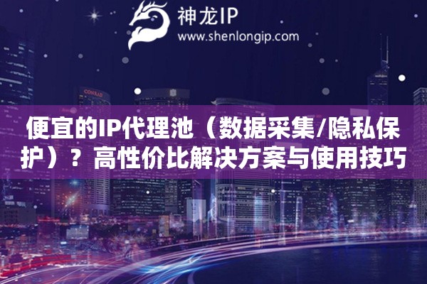 便宜的IP代理池（數(shù)據(jù)采集/隱私保護）？高性價比解決方案與使用技巧