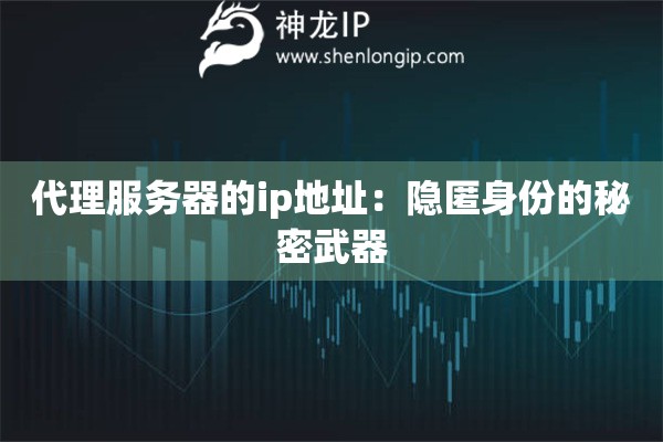 代理服務(wù)器的ip地址：隱匿身份的秘密武器
