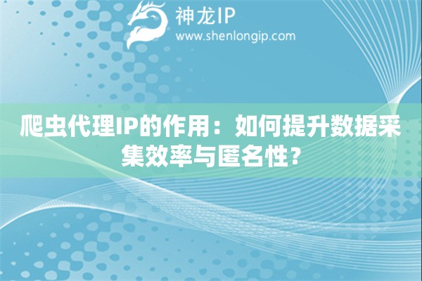 爬蟲代理IP的作用：如何提升數(shù)據(jù)采集效率與匿名性？