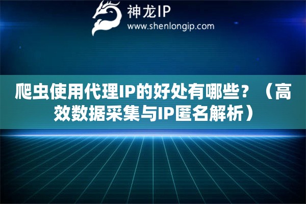 爬蟲(chóng)使用代理IP的好處有哪些？（高效數(shù)據(jù)采集與IP匿名解析）