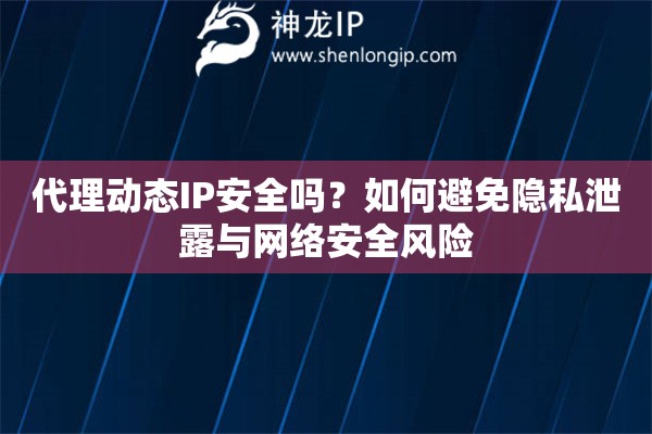 代理動(dòng)態(tài)IP安全嗎？如何避免隱私泄露與網(wǎng)絡(luò)安全風(fēng)險(xiǎn)