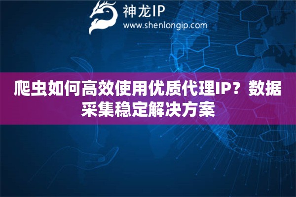 爬蟲(chóng)如何高效使用優(yōu)質(zhì)代理IP？數(shù)據(jù)采集穩(wěn)定解決方案