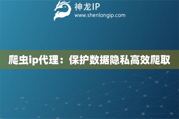 爬蟲ip代理：保護數(shù)據(jù)隱私高效爬取