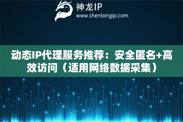 動(dòng)態(tài)IP代理服務(wù)推薦：安全匿名+高效訪問（適用網(wǎng)絡(luò)數(shù)據(jù)采集）
