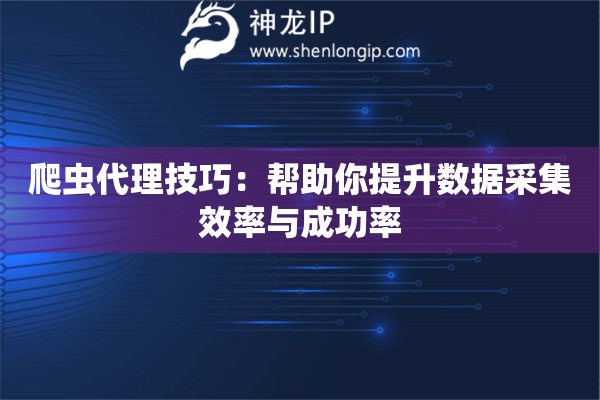 爬蟲代理技巧：幫助你提升數(shù)據(jù)采集效率與成功率