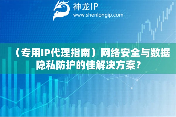 （專(zhuān)用IP代理指南）網(wǎng)絡(luò)安全與數(shù)據(jù)隱私防護(hù)的佳解決方案？