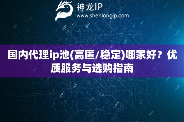 國內(nèi)代理ip池(高匿/穩(wěn)定)哪家好？優(yōu)質(zhì)服務(wù)與選購指南