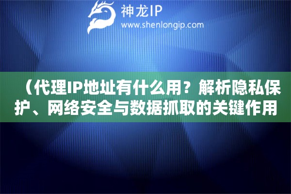 （代理IP地址有什么用？解析隱私保護(hù)、網(wǎng)絡(luò)安全與數(shù)據(jù)抓取的關(guān)鍵作用）