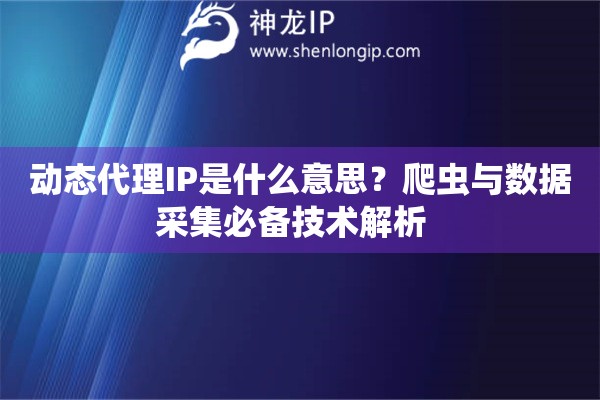 動態(tài)代理IP是什么意思？爬蟲與數(shù)據(jù)采集必備技術(shù)解析  