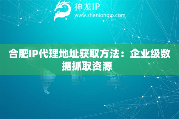 合肥IP代理地址獲取方法：企業(yè)級數(shù)據(jù)抓取資源  