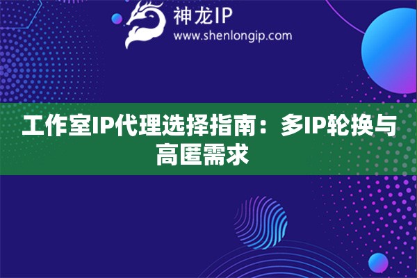 工作室IP代理選擇指南：多IP輪換與高匿需求  