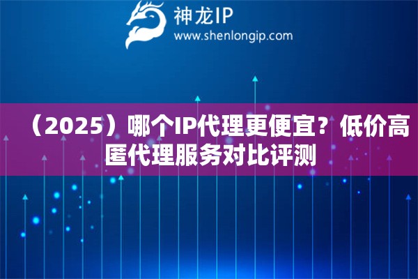 （2025）哪個(gè)IP代理更便宜？低價(jià)高匿代理服務(wù)對(duì)比評(píng)測(cè)