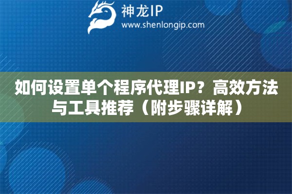 如何設(shè)置單個程序代理IP？高效方法與工具推薦（附步驟詳解）