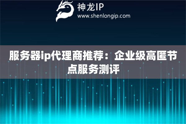 服務(wù)器ip代理商推薦：企業(yè)級(jí)高匿節(jié)點(diǎn)服務(wù)測(cè)評(píng)