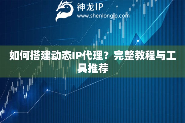 如何搭建動態(tài)IP代理？完整教程與工具推薦
