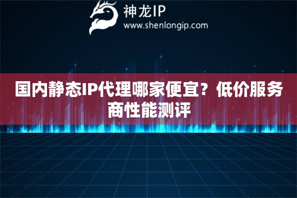 國內(nèi)靜態(tài)IP代理哪家便宜？低價(jià)服務(wù)商性能測評(píng)