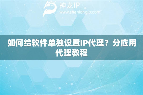 如何給軟件單獨(dú)設(shè)置IP代理？分應(yīng)用代理教程
