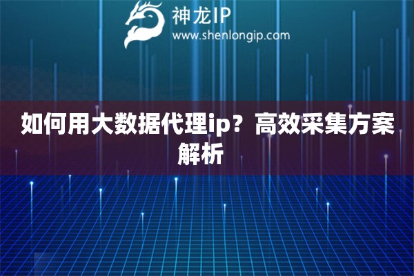 如何用大數(shù)據(jù)代理ip？高效采集方案解析  