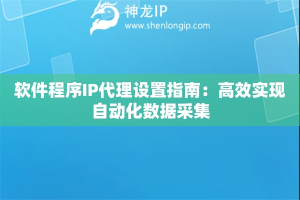 軟件程序IP代理設(shè)置指南：高效實(shí)現(xiàn)自動(dòng)化數(shù)據(jù)采集