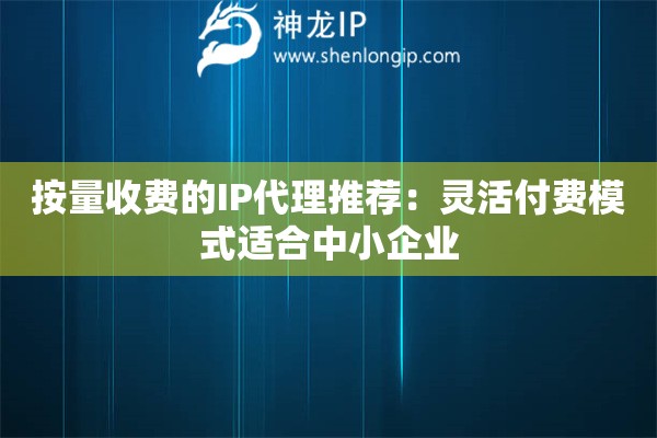 按量收費(fèi)的IP代理推薦：靈活付費(fèi)模式適合中小企業(yè)