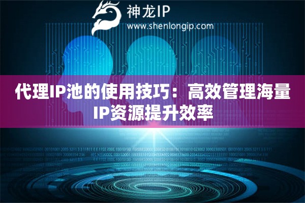 代理IP池的使用技巧：高效管理海量IP資源提升效率