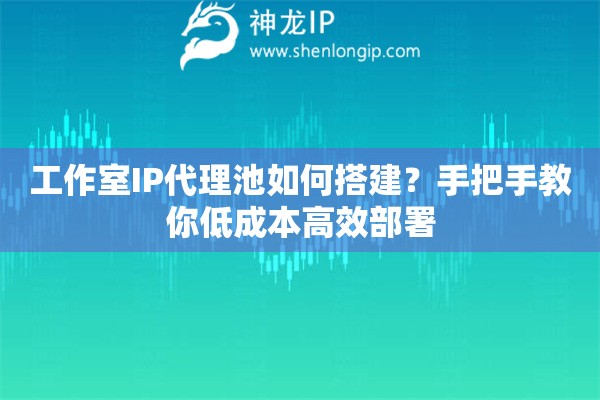 工作室IP代理池如何搭建？手把手教你低成本高效部署