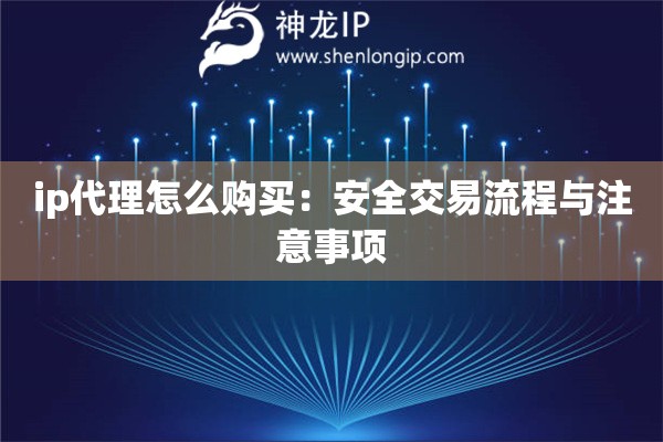 ip代理怎么購買：安全交易流程與注意事項
