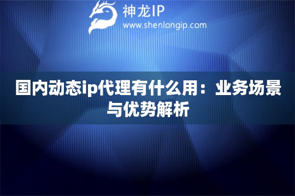 國內(nèi)動(dòng)態(tài)ip代理有什么用：業(yè)務(wù)場景與優(yōu)勢解析