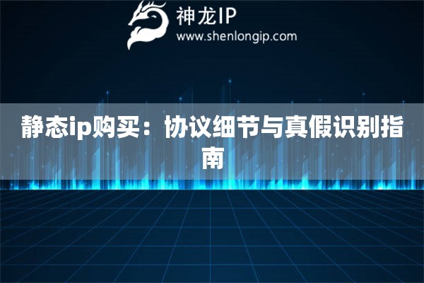 靜態(tài)ip購買：協(xié)議細(xì)節(jié)與真假識別指南