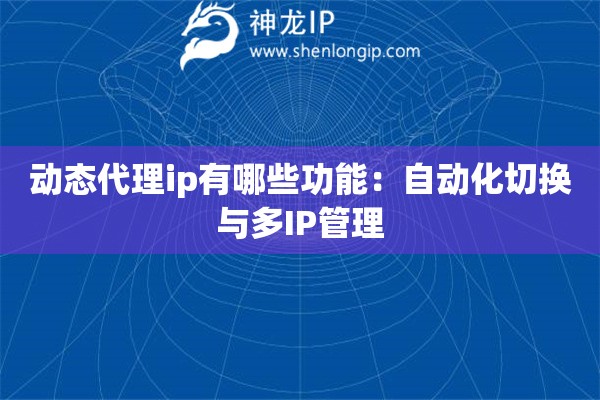 動態(tài)代理ip有哪些功能：自動化切換與多IP管理
