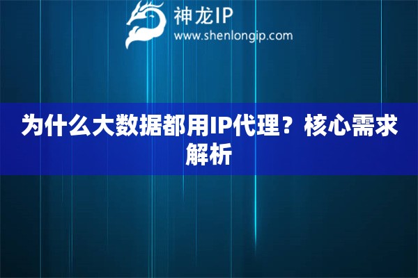 為什么大數(shù)據(jù)都用IP代理？核心需求解析