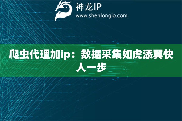 爬蟲代理加ip：數(shù)據(jù)采集如虎添翼快人一步