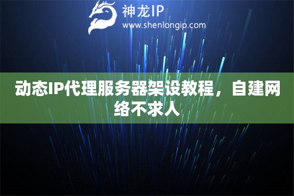 動(dòng)態(tài)IP代理服務(wù)器架設(shè)教程，自建網(wǎng)絡(luò)不求人