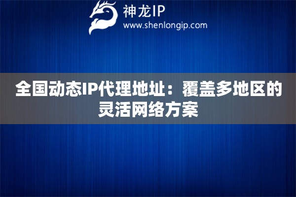 全國動態(tài)IP代理地址：覆蓋多地區(qū)的靈活網(wǎng)絡(luò)方案